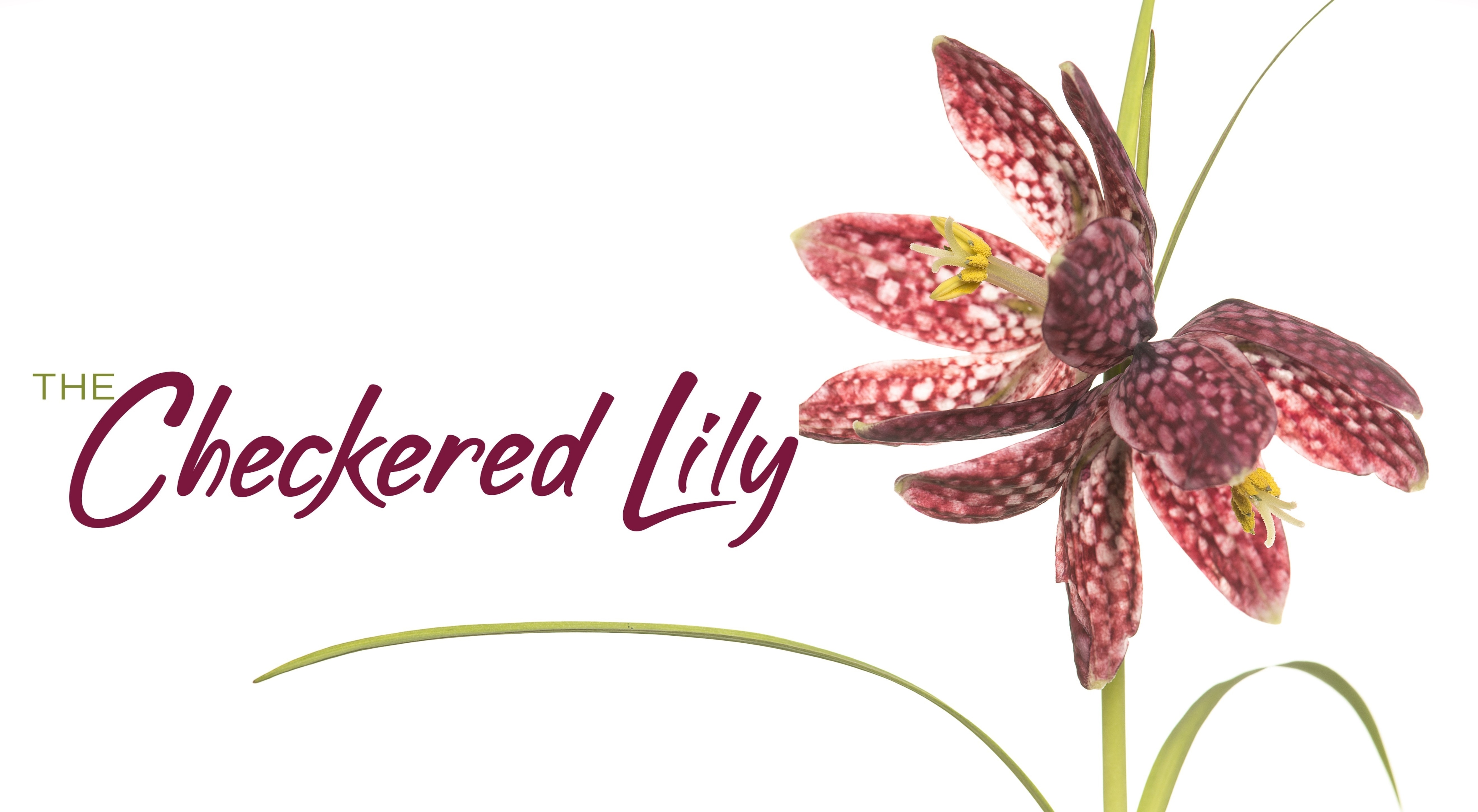 The Checkered Lily - Logo